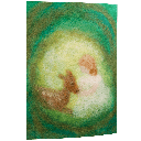 Képeslap: Erdő, erdő, erdő