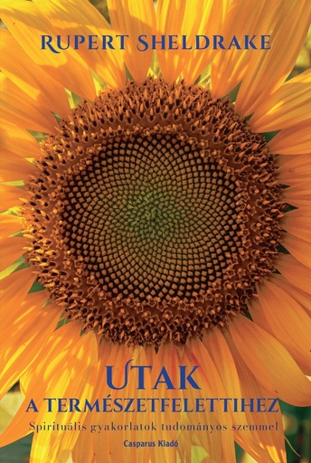 [K-0003] Utak a természetfelettihez